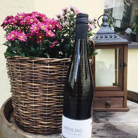Ferienweingut Rudi Steuer * Valwig